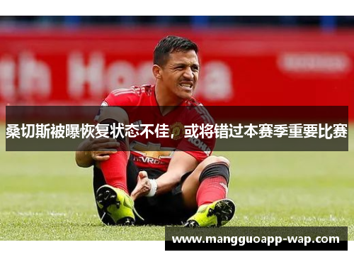桑切斯被曝恢复状态不佳，或将错过本赛季重要比赛