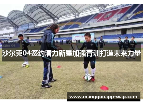 沙尔克04签约潜力新星加强青训打造未来力量