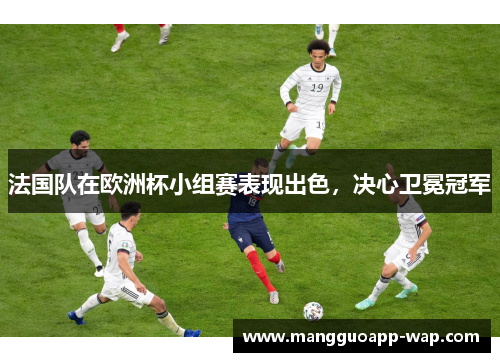 法国队在欧洲杯小组赛表现出色，决心卫冕冠军