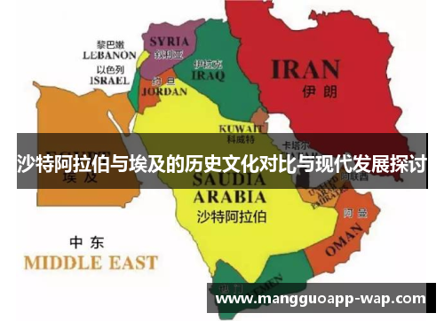 沙特阿拉伯与埃及的历史文化对比与现代发展探讨